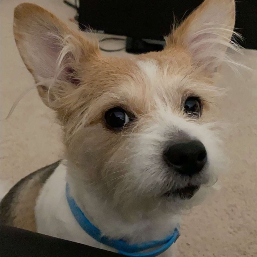 Meet your Posher, Nikki